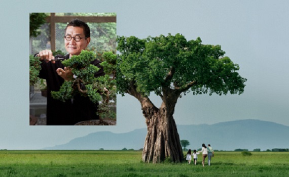 Priority Private: Legacy Planning - bonsai plant pintile